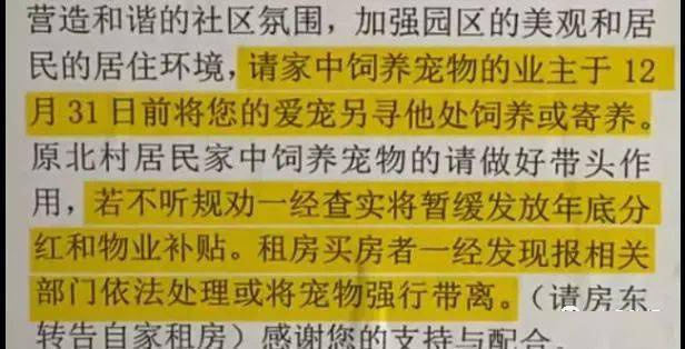 卡牛金盟是否触碰了法律红线合法性受质疑