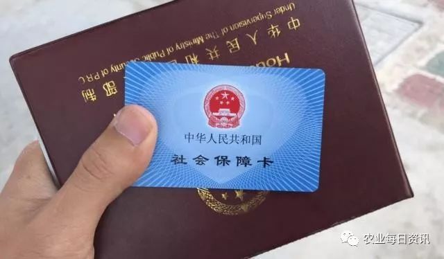 社保卡使用可以降级处理吗如何操作更合适