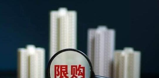 卡盟开通分站真的划算吗投入与回报如何平衡
