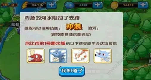 口袋精灵卡片卡盟你收集了多少独特文化珍藏