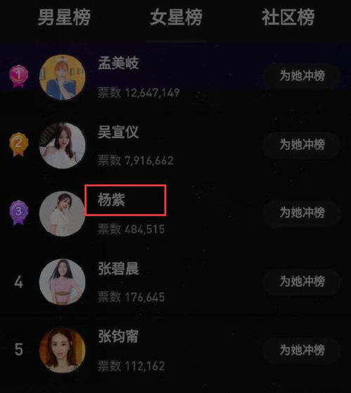 粉丝票究竟有何作用？刷票现象该如何应对？