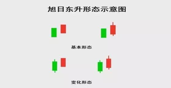 如何操作刷粉平台实现盈利？轻松达到5000粉丝的秘密技巧？