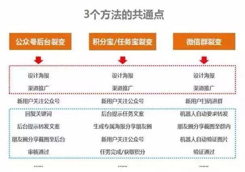 优酷粉丝如何快速增长？涨粉技巧与删除粉丝模块实操指南