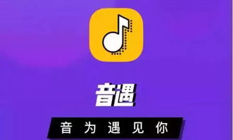如何高效提升音遇粉丝量？代刷服务靠谱吗？