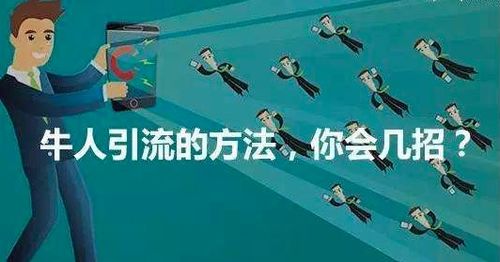 如何高效为部落粉丝增长人气？