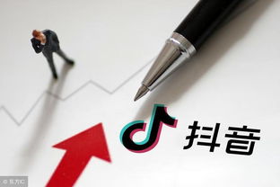 哪里能找到专业刷粉丝的服务？