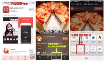 如何轻松获取唱鸭粉丝？刷粉、涨粉丝，哪个平台更靠谱？