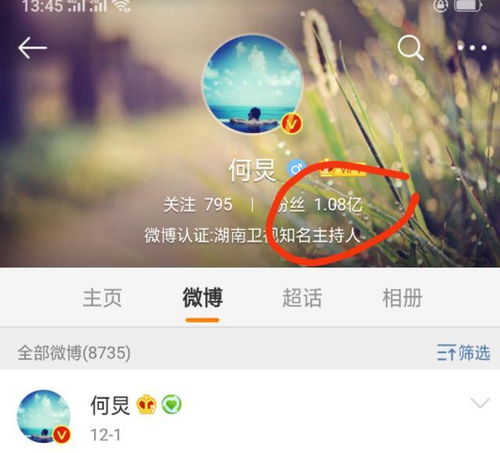 如何高效提升微博粉丝数？离爆红只差一步！