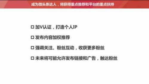 如何合法提升头条粉丝量？业务靠谱还是自力更生？