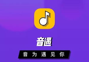 卡盟刷会员靠谱吗？能否实现音遇粉丝与抖音永会员的提升？