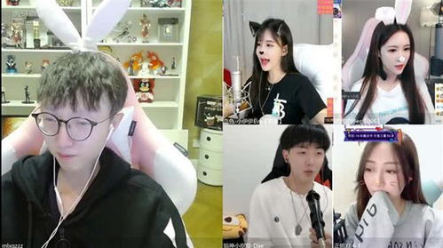 Nico与Nice粉丝排名大比拼，刷粉能否决定胜负？