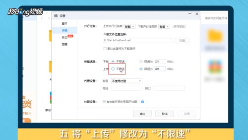 如何高效刷百度网盘积分？免费提速与会员永久的秘密技巧？