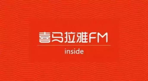 如何合法提升音频平台的在线粉丝数量？