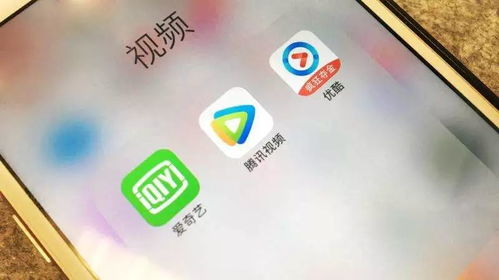 哪里能找到性价比最高的刷粉丝服务？专业刷粉网站大比拼！