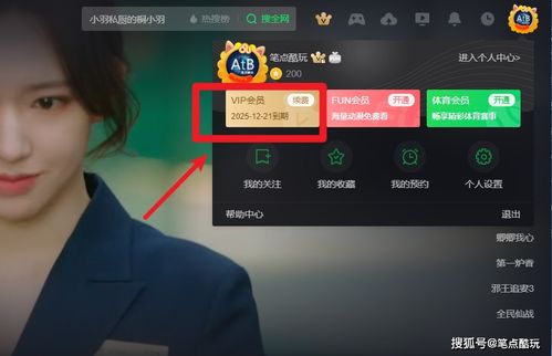 如何高效提升优酷粉丝量？快速涨粉与提升视频热度攻略