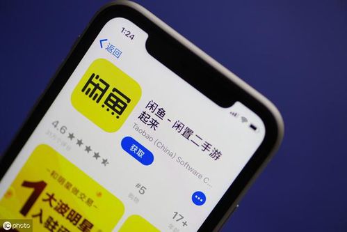 如何在闲鱼高效增粉？实操技巧大公开！