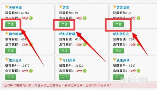 哪些平台能助力微博粉丝增长？