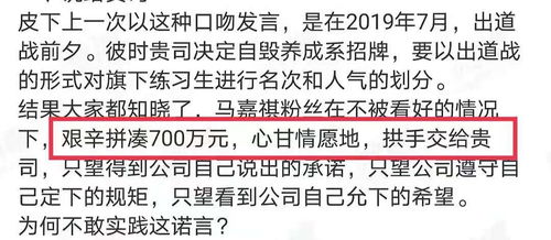 粉丝巨额集资背后，是纯粹的热爱还是刷票疑云？