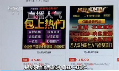 如何有效引导粉丝慷慨打赏？技巧提升粉丝数量与礼物档次