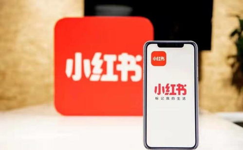 如何在小红书上合法增加粉丝数量？