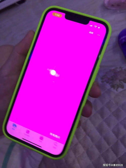 哪里能下载免费刷粉APP？安全高效的手机粉丝增长软件推荐！
