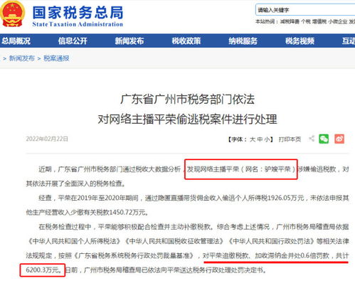 刷粉丝行为在快手平台合规吗？法律边界在哪里？