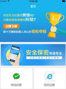 李易峰粉丝投票助手，真是刷票软件吗？