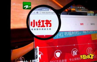 小红书粉丝增长遭遇屏蔽，为何如此波折？