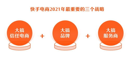 如何实现快手粉丝增长？探索刷粉丝源码的秘密？