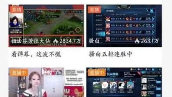 斗鱼粉丝节火箭刷不停，主播分成与粉丝牌升级奥秘何在？
