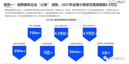 如何在蚂蜂窝实现粉丝增长和盈利？商家之路与小程序运用解析