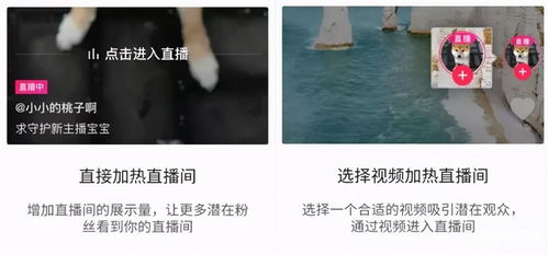 蚂蚁众知刷粉丝，究竟需要多长时间才能见效果？