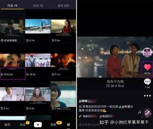 如何有效提升抖音真人粉丝？抖音真人粉丝究竟是怎么回事？