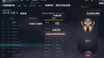如何高效提升掌盟粉丝数？掌盟粉丝在LOL中究竟有何作用？
