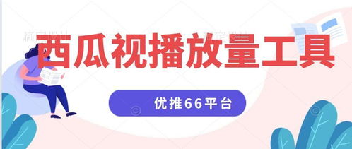 如何高效提升西瓜视频头条的粉丝量？