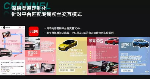 小红书粉丝不增反减？探究关注数停滞不前的奥秘