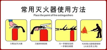 掌握哪些技巧能安全有效刷粉至5000人？如何避免异常刷粉？