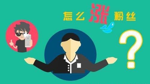 如何在半次元快速增加粉丝？涨粉攻略与技巧大公开