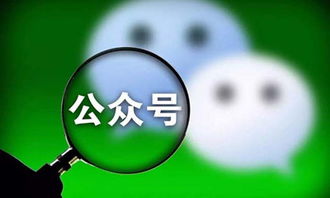 如何高效获取微信公众号粉丝？有哪些具体方法及赚钱途径？
