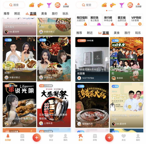 大众点评粉丝多真的能赚钱吗？深入解析粉丝增长的好处与技巧
