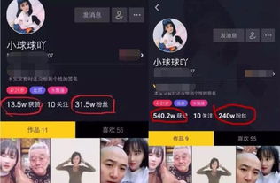 如何轻松提升球球粉丝数？不掉粉的刷粉神器哪里找？