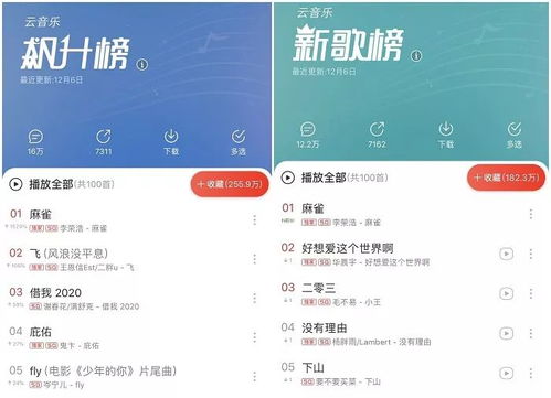 网易云刷粉安全吗？音乐人刷粉工具是否会封号？
