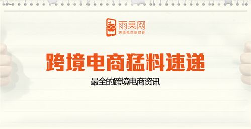 如何高效提升Lazada粉丝数量？
