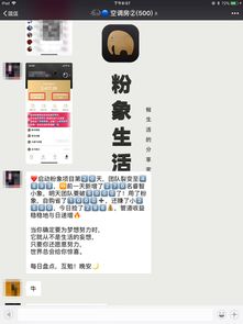 如何实现高效刷粉？探索刷粉挣钱的隐藏技巧