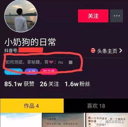 抖音快速增粉背后，究竟采用了哪些神秘技术？