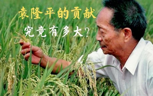如何有效增加袁隆平快手账号的粉丝量？