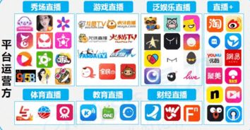 如何在KS直播自助下单平台观看体育直播？