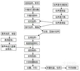 生产工厂下单至发货，业务流程图是怎样的？