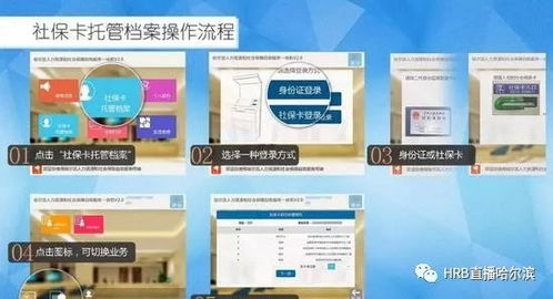 ks自助下单平台真的免费？保障业务又如何？