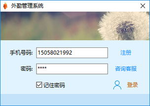 业务员下单软件哪里下载？官方渠道在这里！